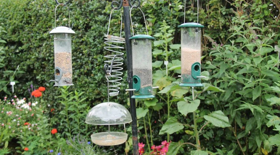 Plan Your Garden with Wild Bird Feeders 