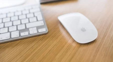 Apple Mac Mouses