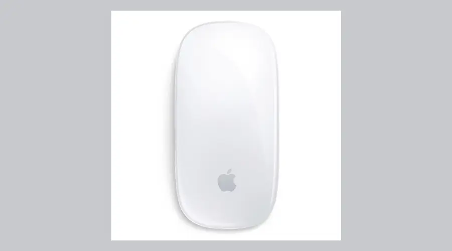 Magic mouse 2 Wireless - Silver