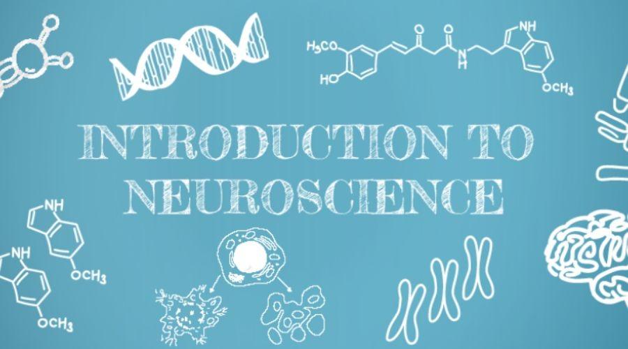 Introduction to Neuroscience 