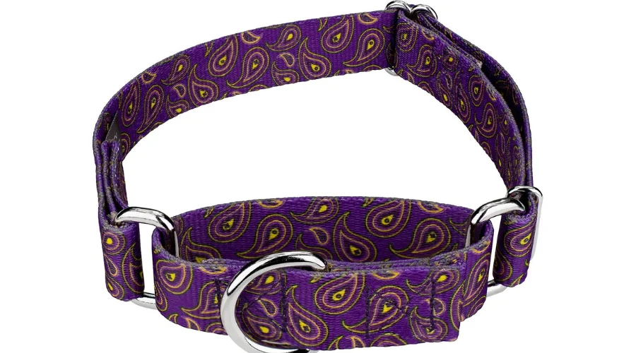 Country Brook Design Paisley Polyester Martingale Dog Collar