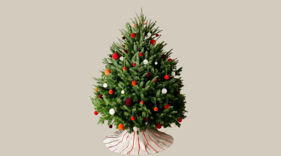 Pom Pom Santa Tree Skirt | findwyse
