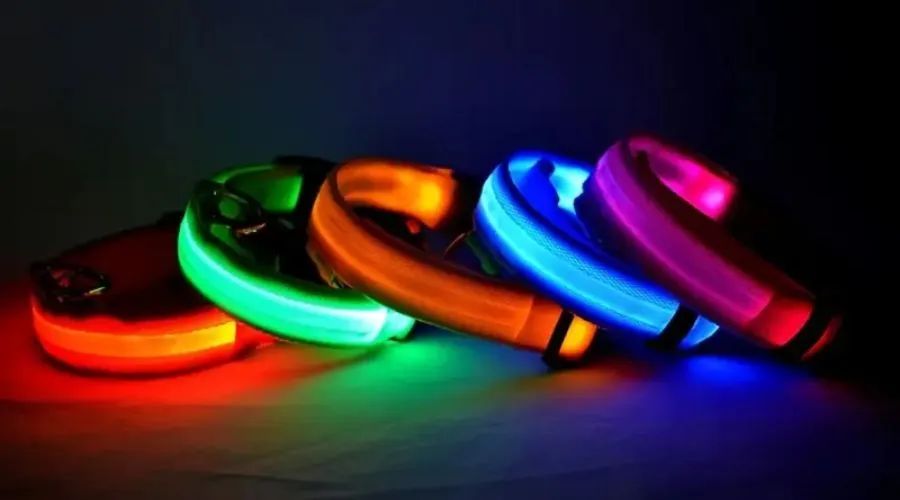 Glow-In-The-Dark LED Dog Collar 