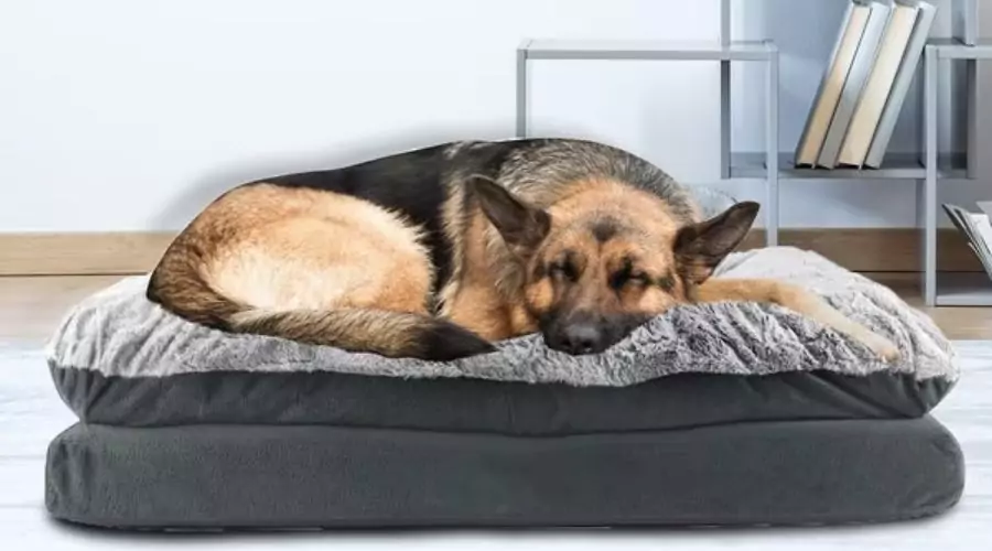 Canine Creations Orthopedic Pillow Topper Dog Bed