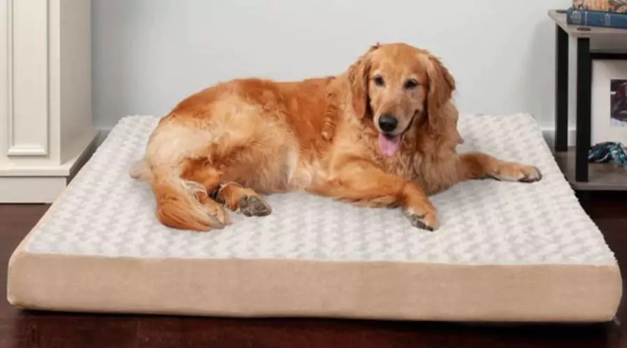 Furhaven Nap Cat & Dog Bed
