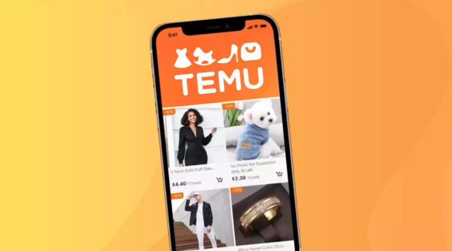 What Is Temu? 