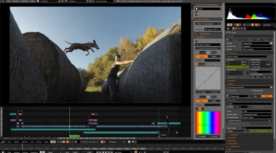 Professional Software for High-quality Video editing | Findwyse