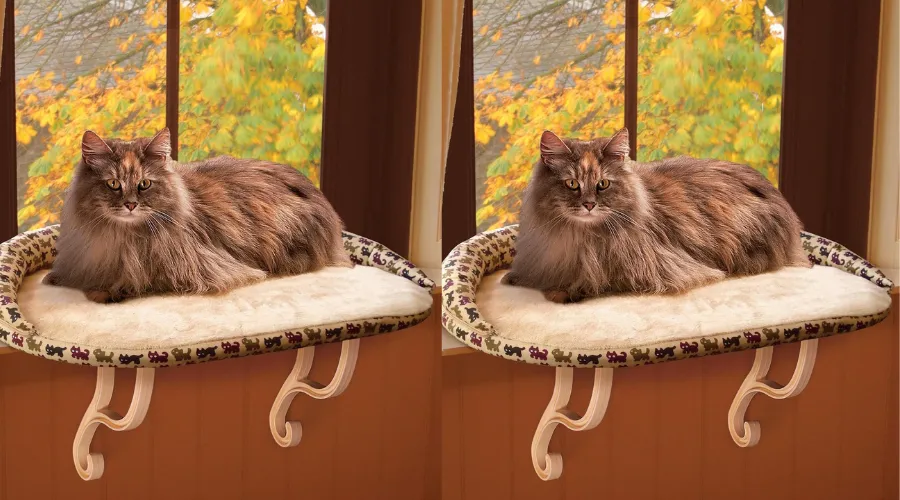 _K&H Pet Products deluxe kitty sill cat window perch | Findwyse