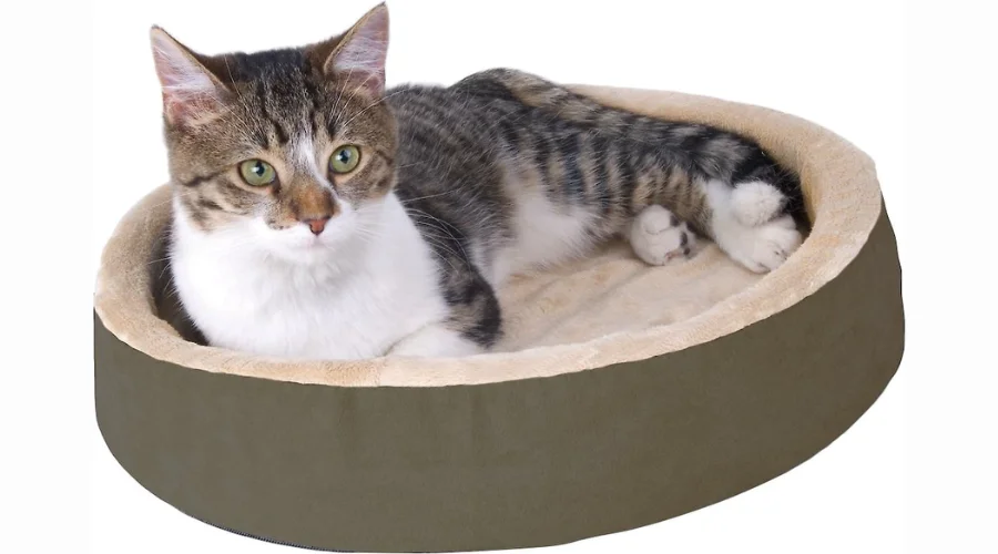 Thermo-Kitty Cuddle Up Indoor Heated Bolster Cat Bed