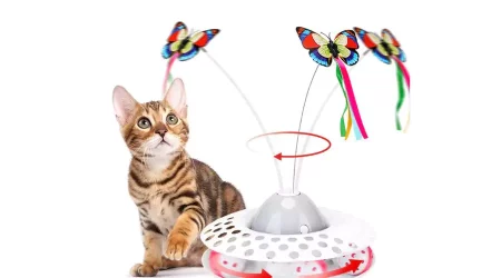 Electronic cat toy