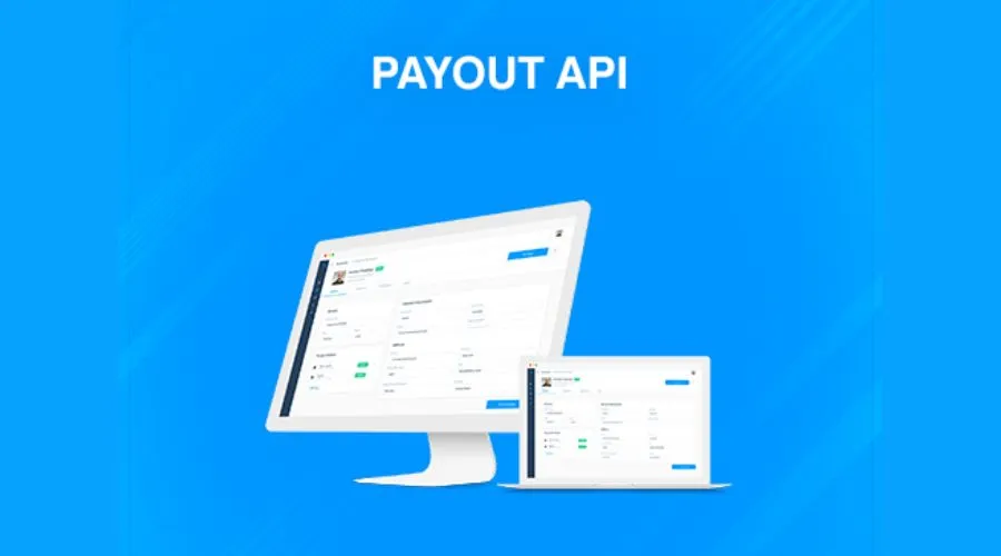 Understanding Payment API Payouts
