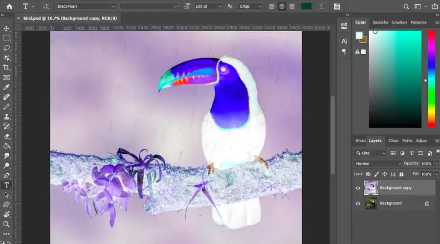 How to use Photoshop Invert colours in Adobe?