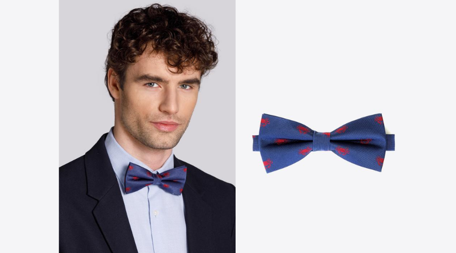 BlueFindwyse and red patterned silk bow tie | 