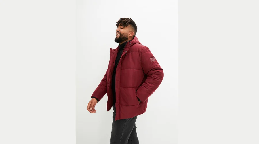 Quilted Jacket With Hood, Made Of Recycled Polyester