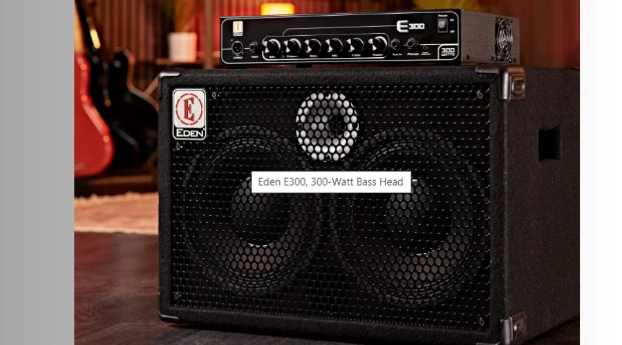 Eden E300 Bass Amp Head