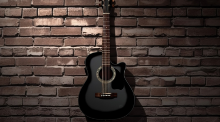 electro acoustic guitar