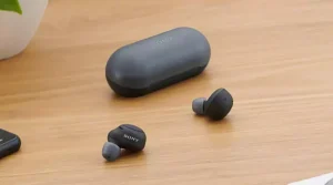 Sony wireless earphones