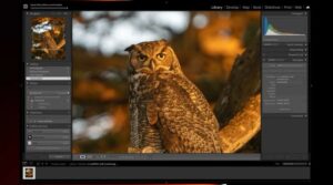 Luminar Neo AI tools