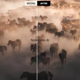 Noiseless AI